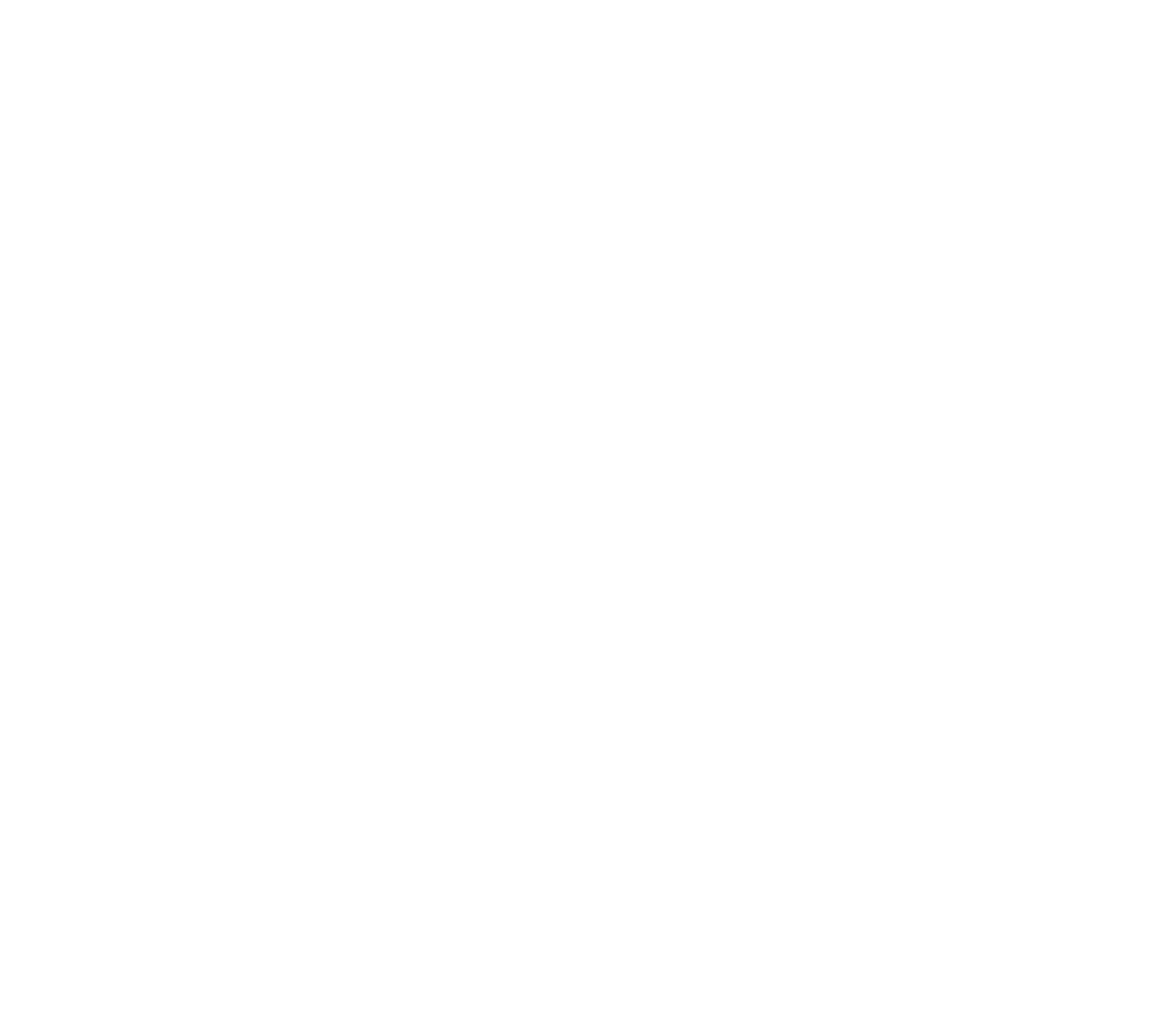 Logo blanc 1